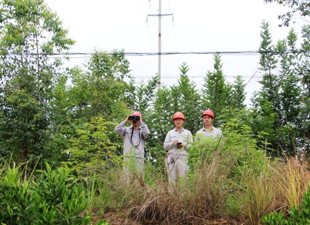 國網(wǎng)江永縣供電公司:負(fù)責(zé)人帶隊巡線，精施策護(hù)網(wǎng)保電