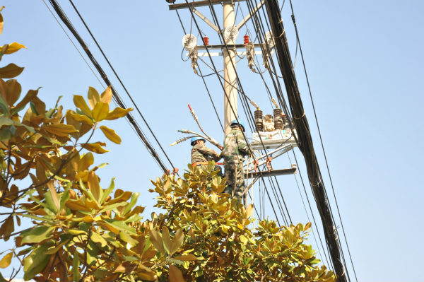國網(wǎng)廣昌縣供電公司“自主實(shí)施+供電所協(xié)作”大力推進(jìn)配網(wǎng)自主實(shí)施