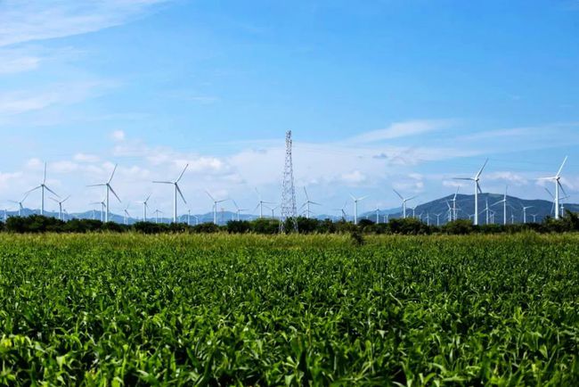 收購墨西哥818MW光伏電站，國家電投境外光伏電站裝機超6GW