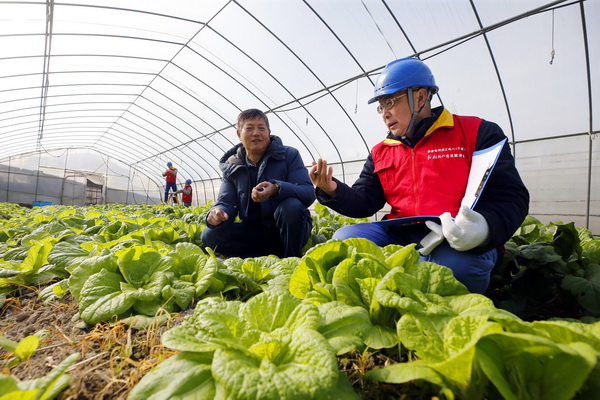 浙江寧波供電公司： 寒冬里，“電管家”守好百姓“菜籃子”