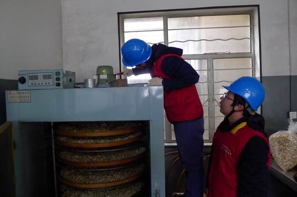 國(guó)網(wǎng)寧?？h供電公司：電力紅馬甲服務(wù)鄉(xiāng)村企業(yè) ，讓黃精變“黃金”