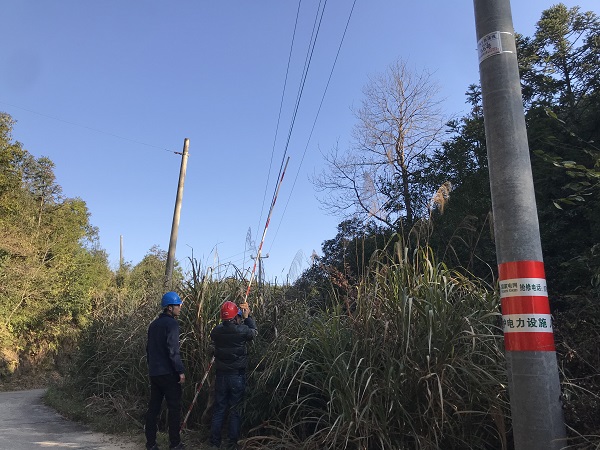 國網(wǎng)南豐縣供電公司：為電桿穿上“防撞衣”，確保交通安全