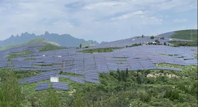 少長一棵草，多發(fā)一度電，助力碳中和