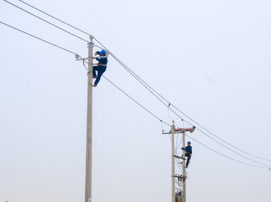 阿拉善供電公司：電網(wǎng)健康“體檢”，從登桿開(kāi)始
