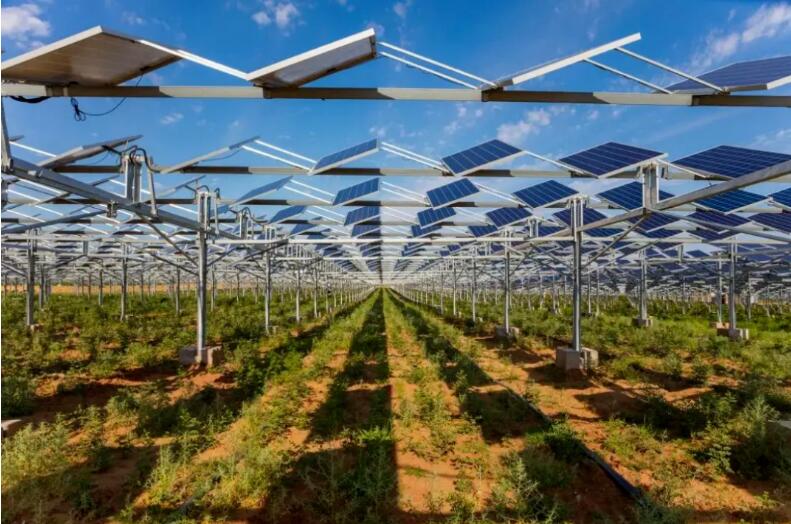 光伏治沙+風光大基地，寧夏“走出”生態(tài)保護和高質(zhì)量發(fā)展新道路