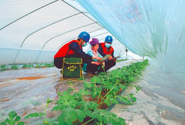 上門服務(wù)，瓜甜心更甜