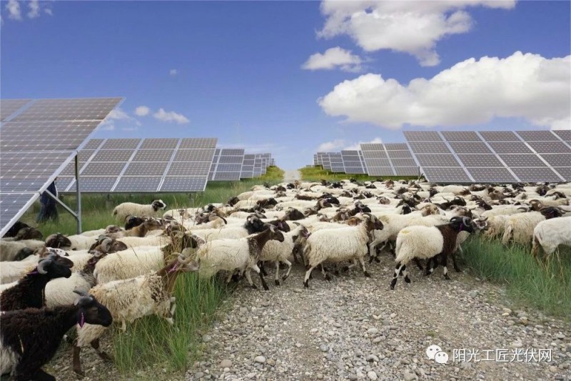 面積接近一個(gè)新加坡！青海塔拉灘光伏電站照亮“陽(yáng)光之路”