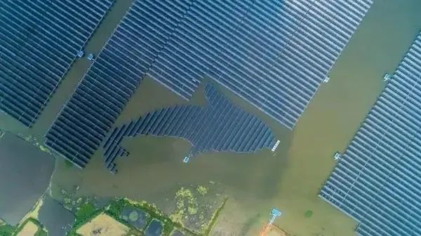 泗洪1000MW光伏領(lǐng)跑者項(xiàng)目被勒令拆除整改！