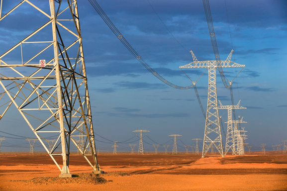 國(guó)家電網(wǎng)公司貫徹落實(shí)黨中央、國(guó)務(wù)院決策部署 全力服務(wù)扎實(shí)穩(wěn)住經(jīng)濟(jì)的八項(xiàng)舉措