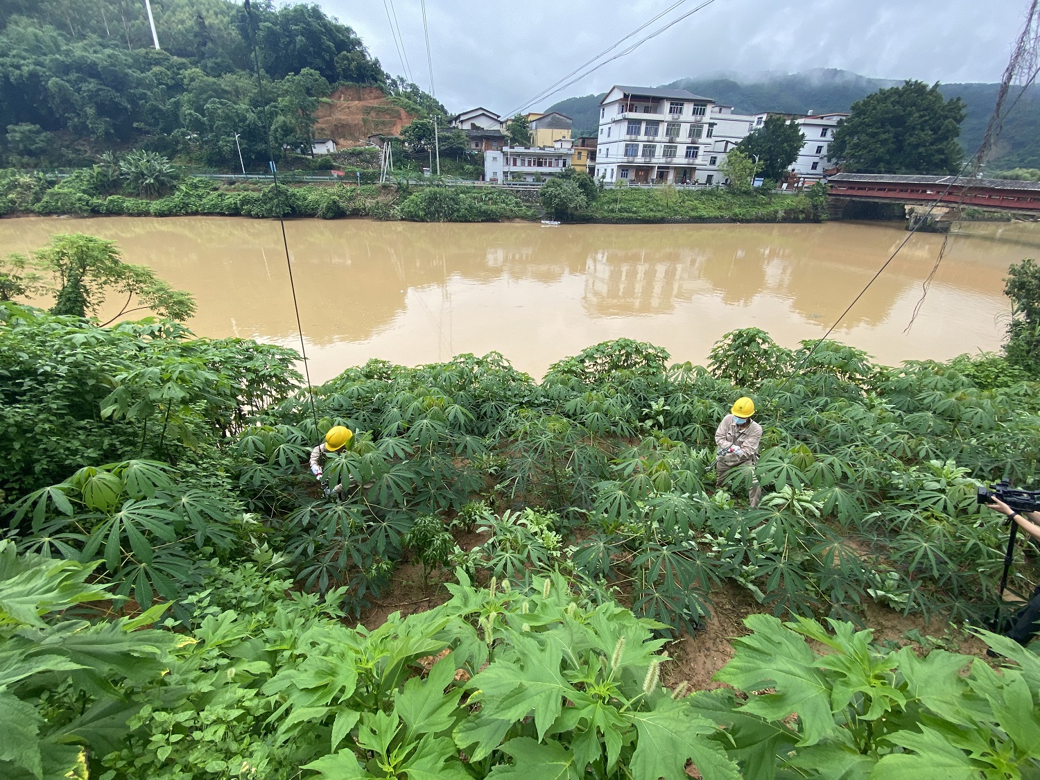 國網(wǎng)泉州供電公司聞“汛”而動保障供電安全