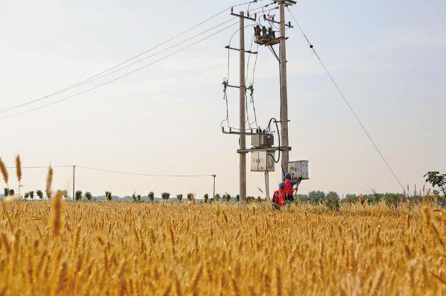安徽阜陽：“旱了能澆，澇了能排”