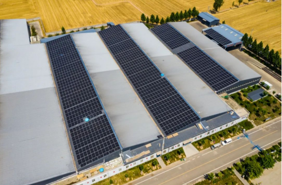 分布式光伏助力企業(yè)低碳轉(zhuǎn)型！麥田里的陽光工廠，年均生產(chǎn)108萬度綠電！