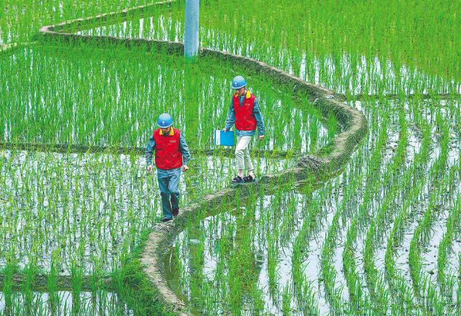 國(guó)家電網(wǎng)公司：全力以赴做好抗疫保供電，持續(xù)優(yōu)化電力營(yíng)商環(huán)境