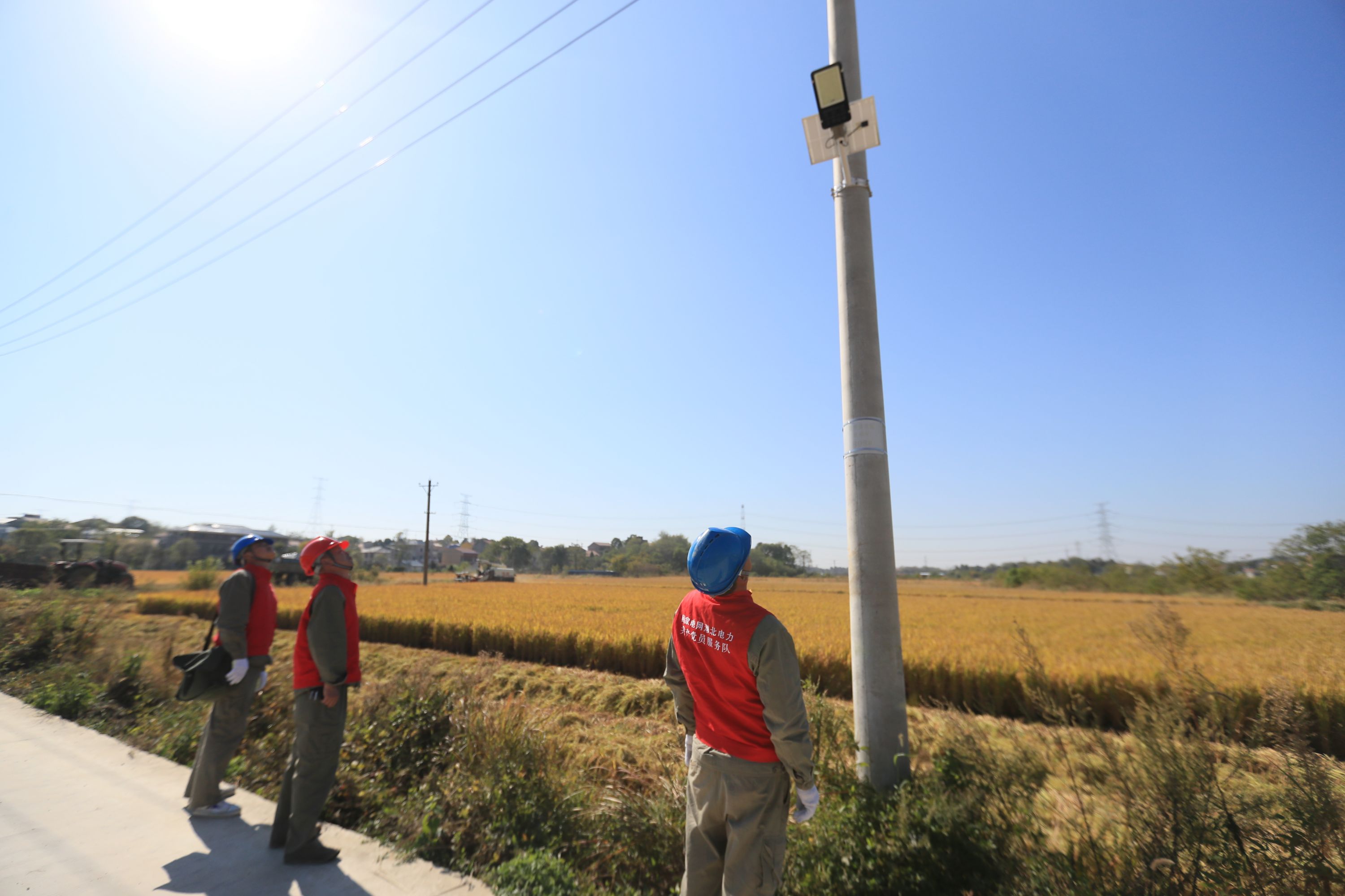 金秋豐收正當時，供電部門全力保障農戶秋收用電