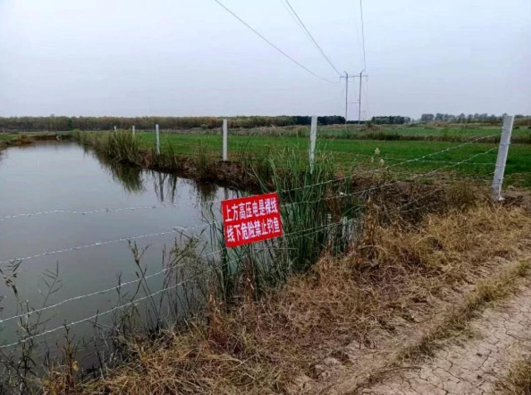 國網(wǎng)濟(jì)寧供電公司治理垂釣隱患，保電網(wǎng)安全運(yùn)行