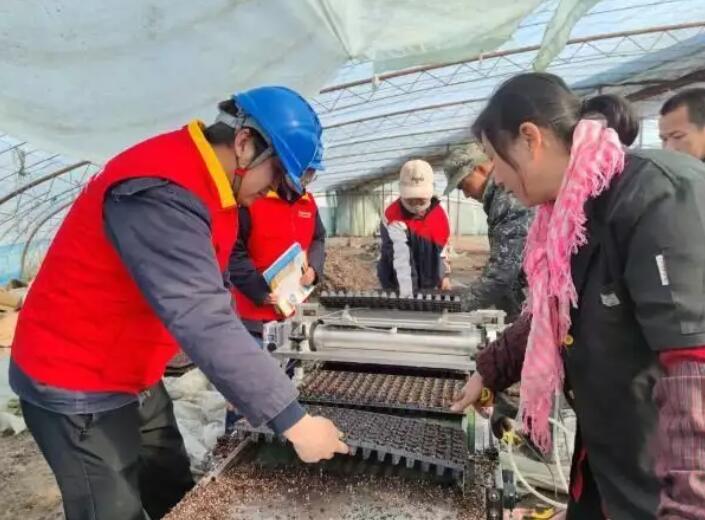 國網新疆電力公司貼心服務，為春耕春灌用電保駕護航