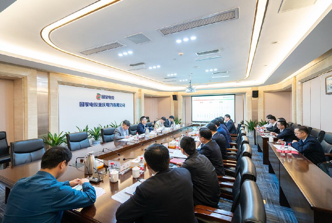 徐樹彪到重慶公司、遠(yuǎn)達(dá)環(huán)保調(diào)研