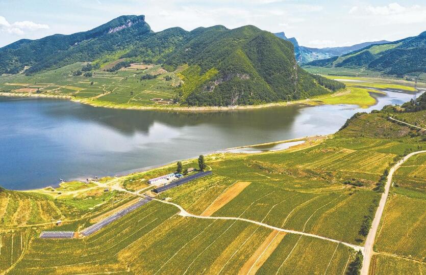 國網(wǎng)遼寧電力聚焦“三農” 持續(xù)提升農村供電質量