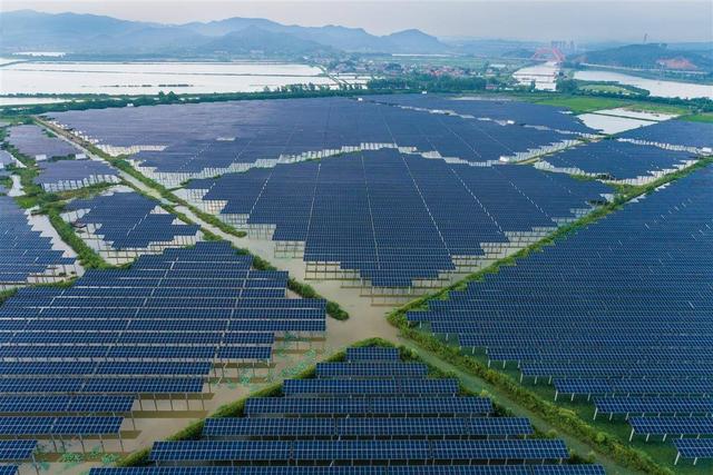 水上發(fā)電，水下養(yǎng)魚!黃石“漁光互補”綠色興農(nóng)