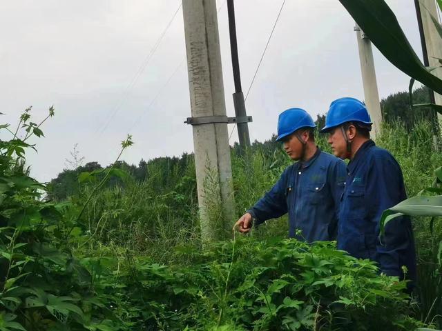 國網長春供電公司積極應對極端天氣，確保線路設備穩(wěn)定運行