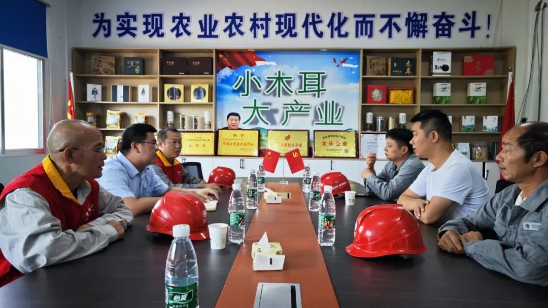 國網(wǎng)桑植縣供電公司“黨建+服務”助力優(yōu)化營商環(huán)境