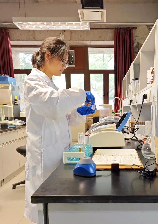 寶山這位博士后探索“氫轉(zhuǎn)甲烷”科創(chuàng)路徑，推動清潔能源制氫