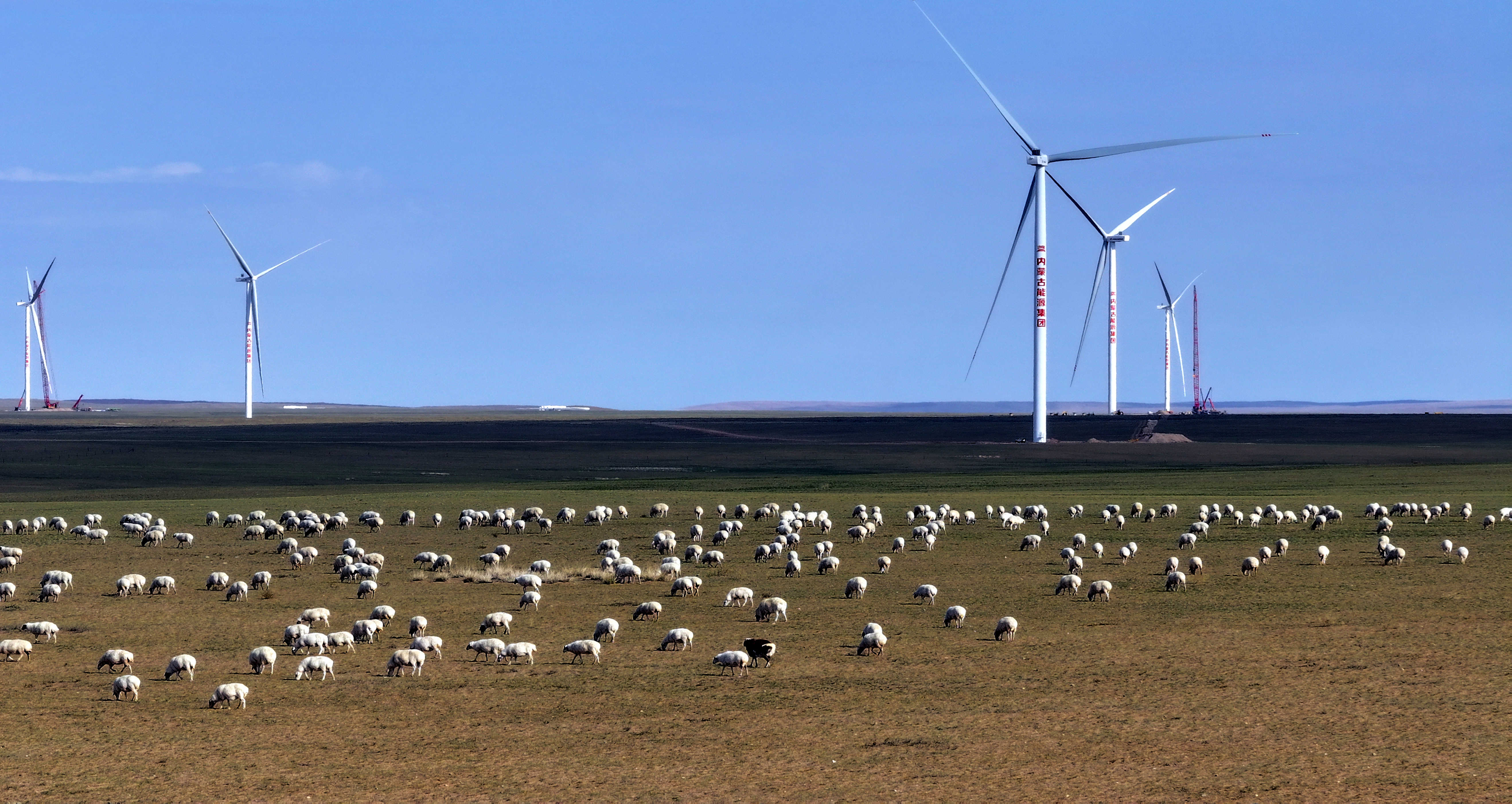 內(nèi)蒙古能源集團400萬千瓦新能源項目啟動并網(wǎng)發(fā)電