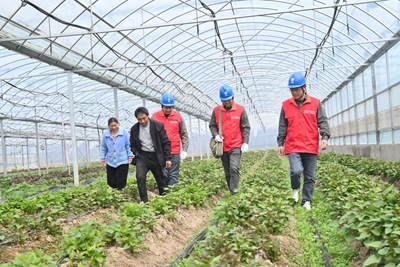 國(guó)網(wǎng)息縣供電公司滿(mǎn)格電照亮致富新“薯”光