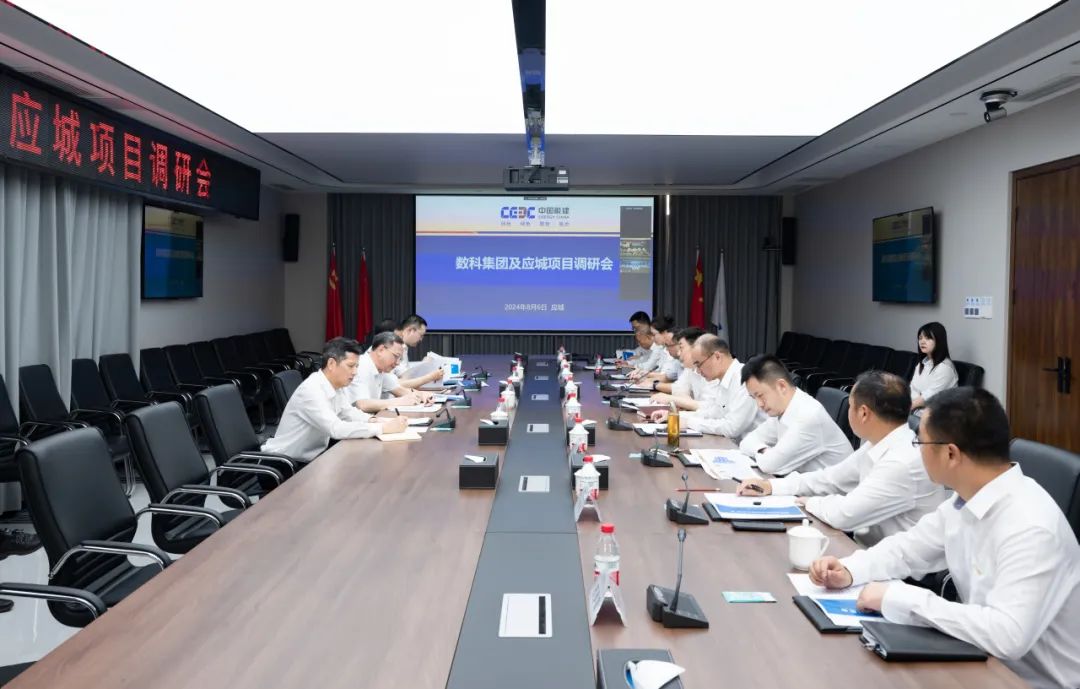 中國能建黨委副書記、總經(jīng)理倪真調研湖北應城300兆瓦壓氣儲能項目