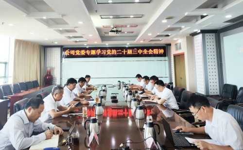 水電基礎(chǔ)局黨委召開傳達學習黨的二十屆三中全會精神專題會