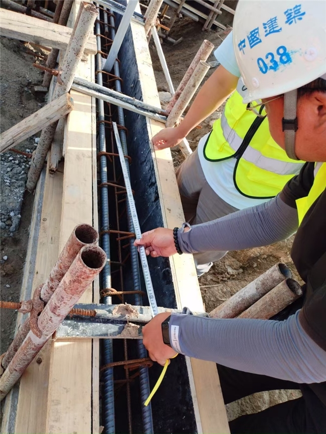 黨員先鋒展風(fēng)采，鑄就工程新樣板