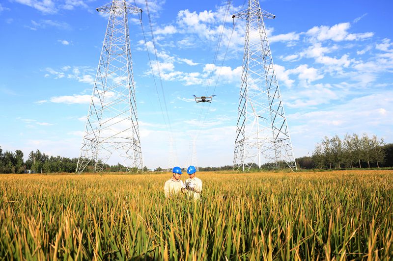 國網江蘇電力睢寧縣供電公司:無人機巡檢 筑牢電網安全