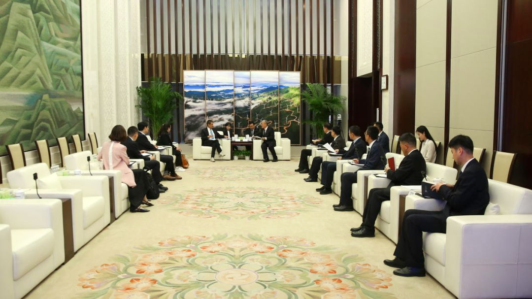 國家電投總經(jīng)理栗寶卿會(huì)見國際可再生能源署總干事卡梅拉