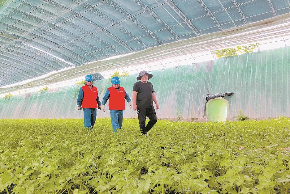 寧夏賀蘭縣：賀蘭山下，稻香魚肥