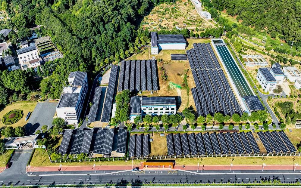 追“新”逐“綠” 粵?？毓杉瘓F(tuán)走實(shí)走好綠色低碳轉(zhuǎn)型高質(zhì)量發(fā)展道路