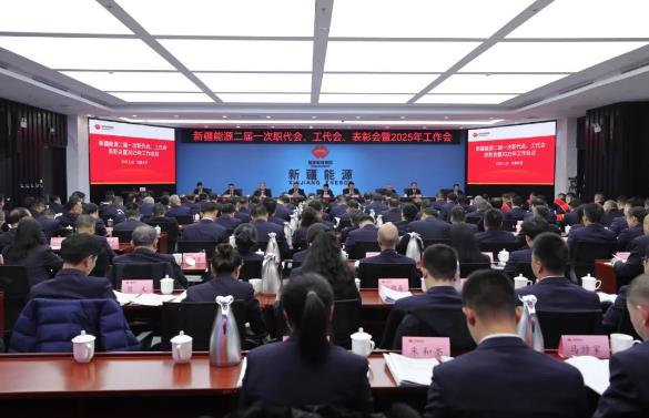 國能新疆能源召開二屆一次職代會、工代會、表彰會暨2025年工作會