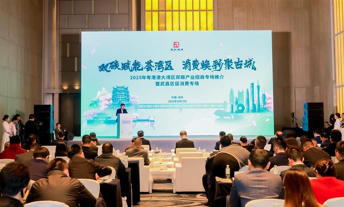 南下大灣區(qū)引來百億“綠色”項目，堅持為碳排放“買單”成新風(fēng)氣