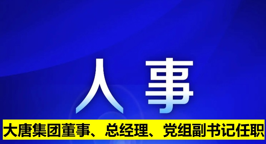 大唐集團董事、總經(jīng)理、黨組副書記任職